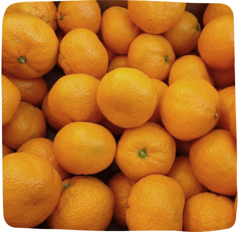 Organic Mandarin Oranges - Automatic Bi-Weekly Delivery - Massa Organics